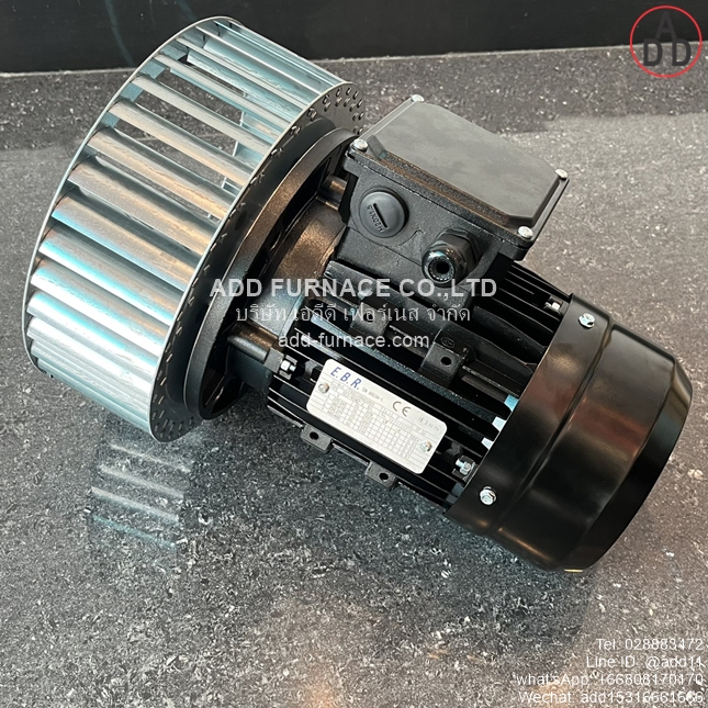 TYPE YE3-80M2-2 B5 With D250x84-D19 Fan Wheel (7)